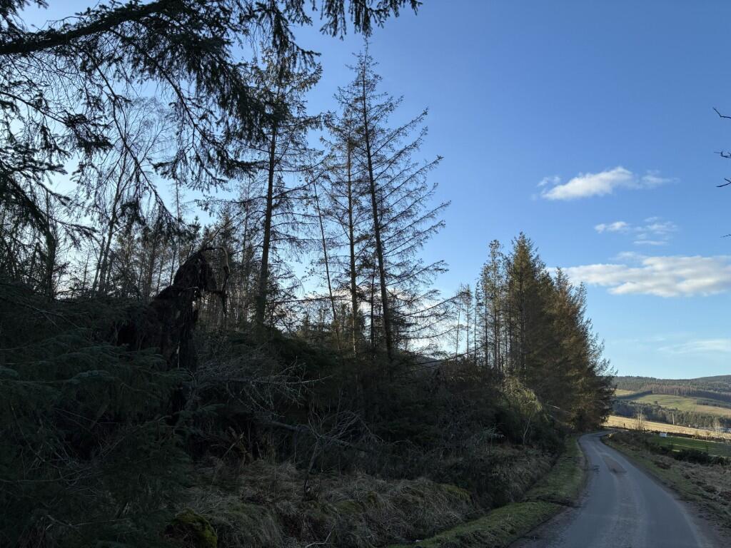 Additional image 11 of Woodland at Dessmuir Estate, Aboyne