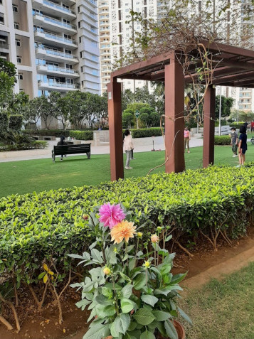 Additional image 2 of Sector 54, Gurgaon