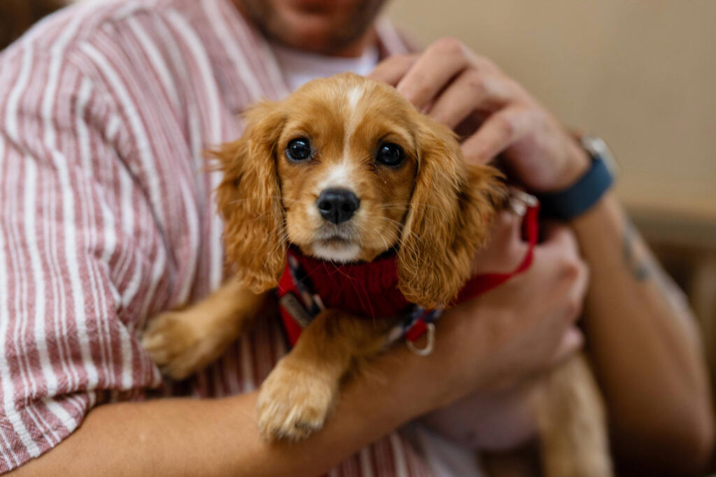 Additional image 2 of Guild Point