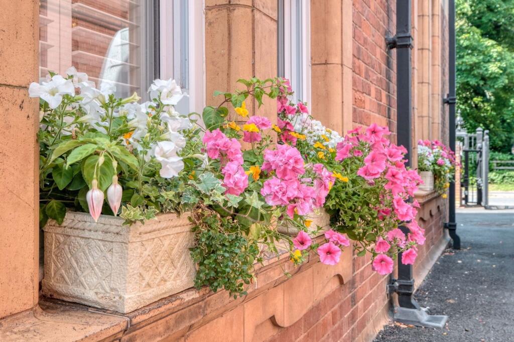 Additional image 14 of Barnsley Hall Road, Barnsley Hall Barnsley Hall Road, B61