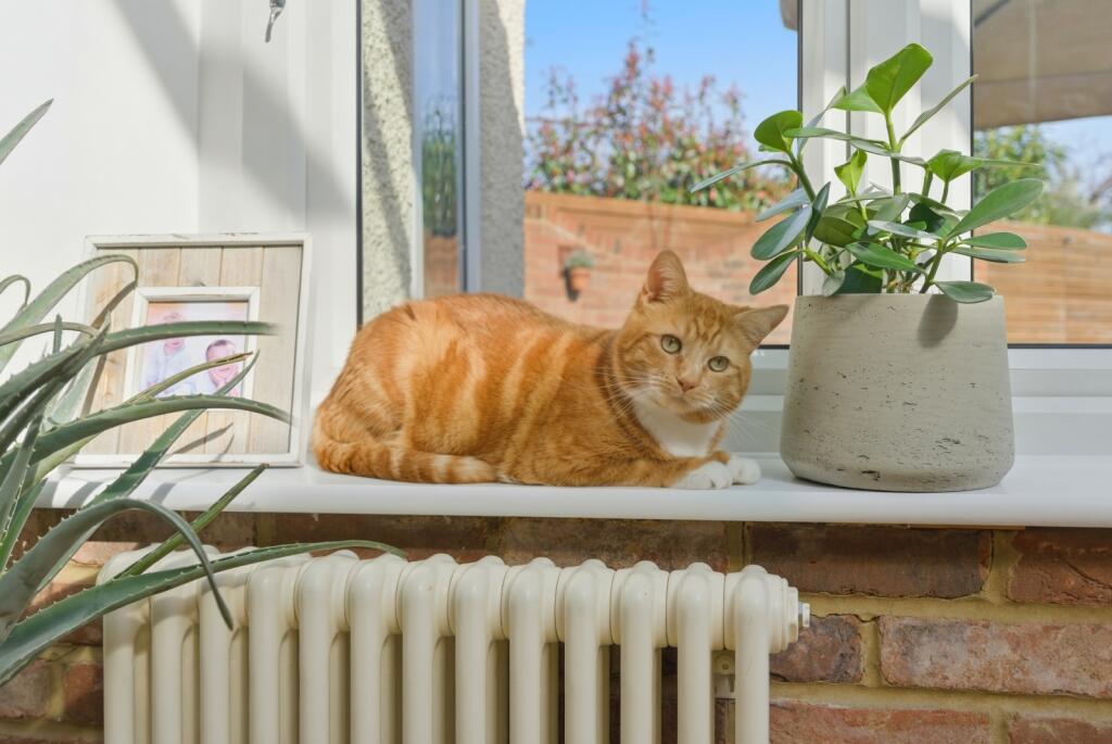 Additional image 12 of Woodland Drive, St. Albans, Hertfordshire, AL4