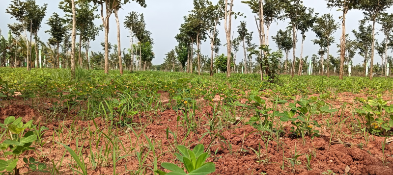 Additional image 2 of Mahindra City, Chennai