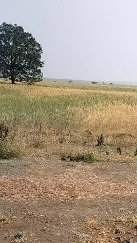 Additional image 2 of Sehore Road, Bhopal