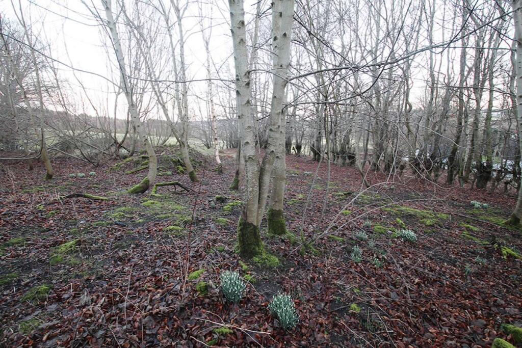 Additional image 11 of Snowdrop, Land at West Church, Deskford, Cullen, AB565YJ