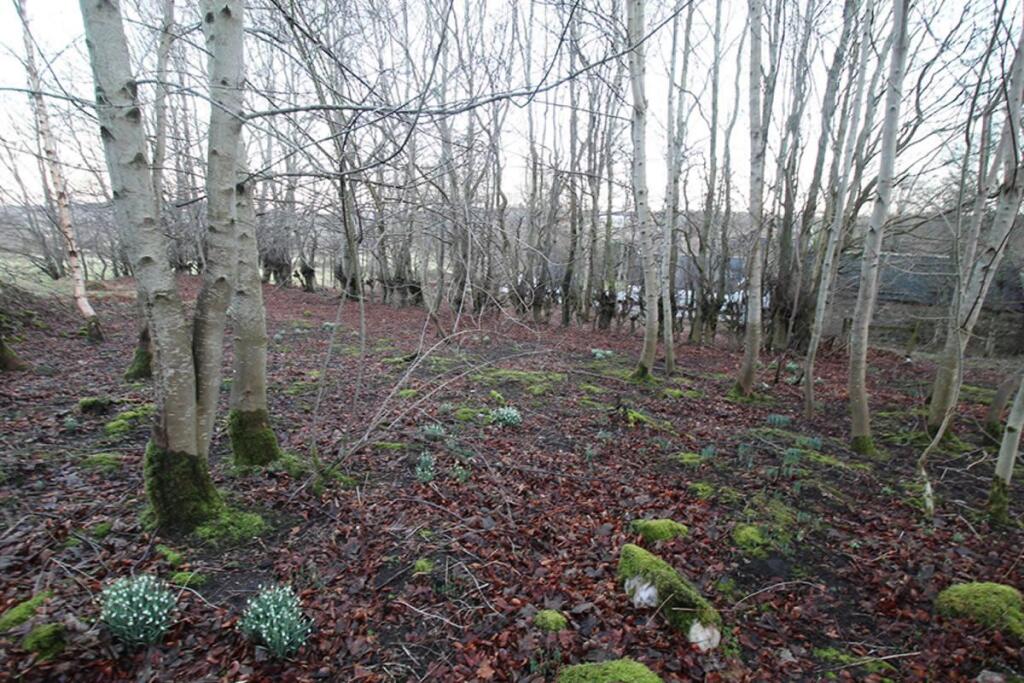 Additional image 10 of Snowdrop, Land at West Church, Deskford, Cullen, AB565YJ