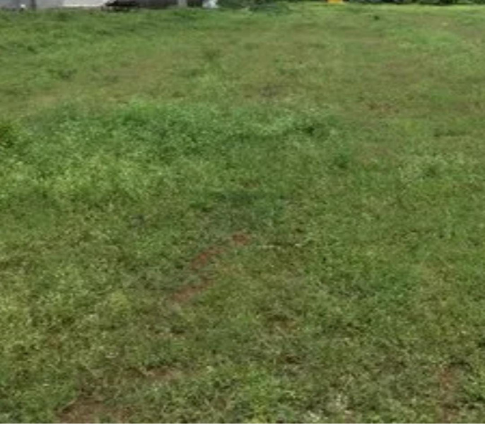 Additional image 3 of Thennampalayam, Coimbatore