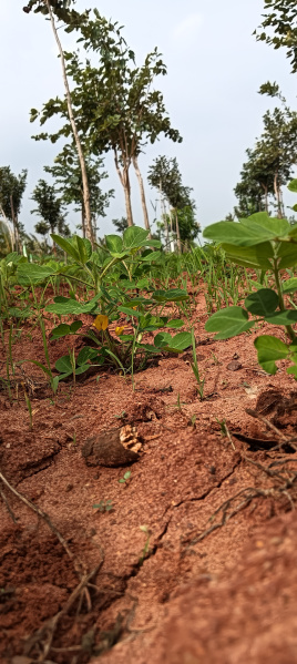 Additional image 3 of Mahindra City, Chennai