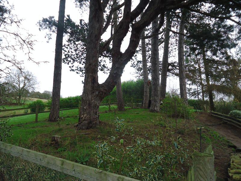 Additional image 5 of Finstall, Bromsgrove