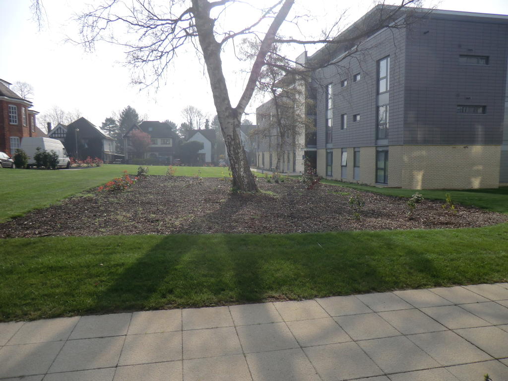 Additional image 11 of Blackfriars Court, Newsom Place, Hatfield Road, St. Albans, AL1 3GQ