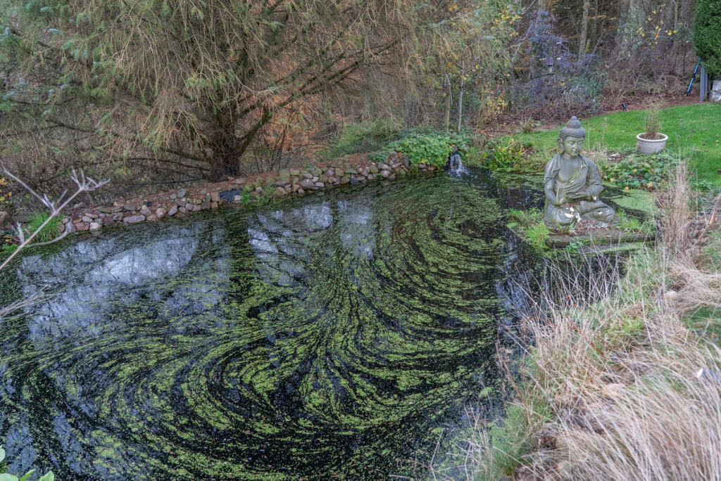 Additional image 42 of St. Marys House, Turriff, AB53