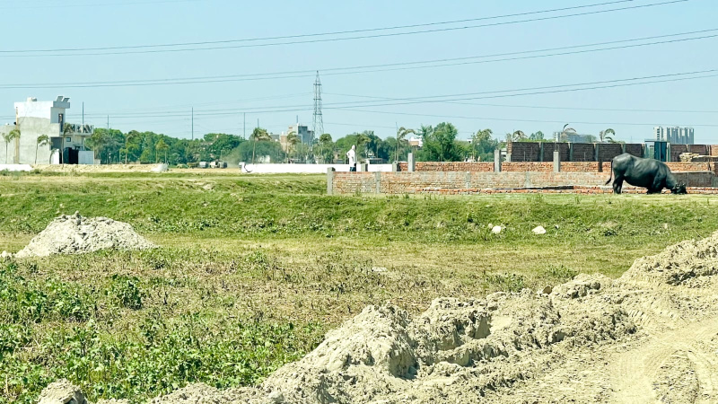 Additional image 2 of Tal Kandala, Gorakhpur