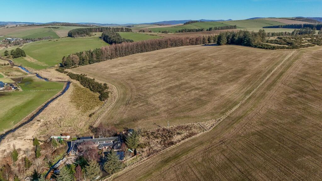 Additional image 4 of An Laroch, Alford