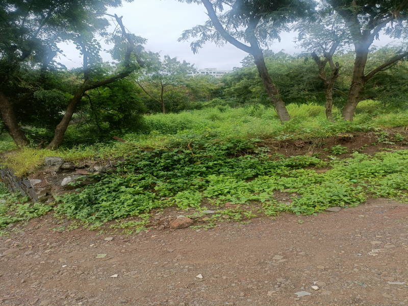 Additional image 3 of Dhayari, Pune