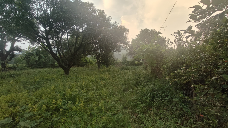 Additional image 3 of Ramnagar, Nainital