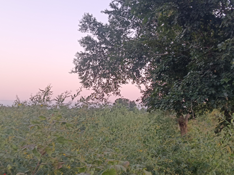 Additional image 3 of Mohapa, Nagpur