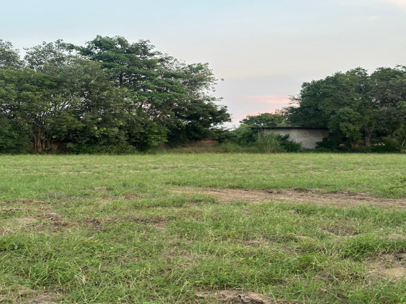 Additional image 2 of Sohna, Gurgaon