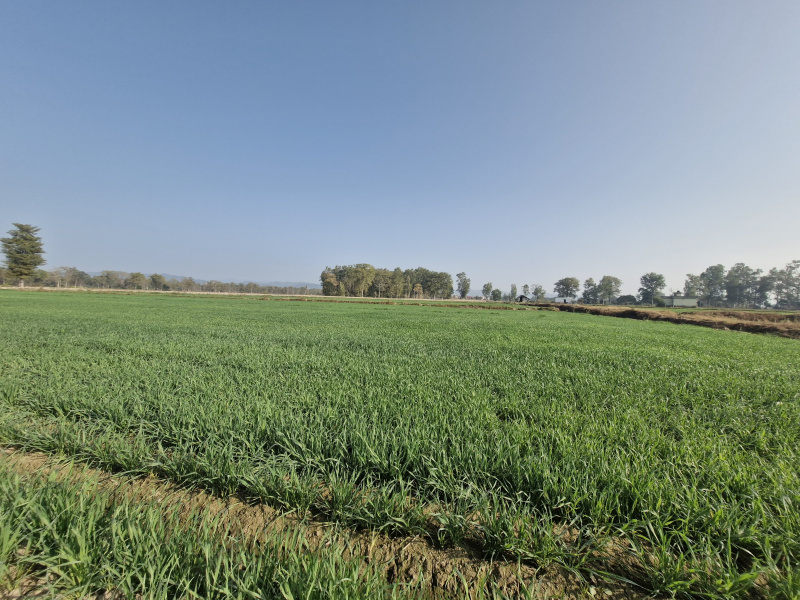 Additional image 2 of Ramnagar, Nainital