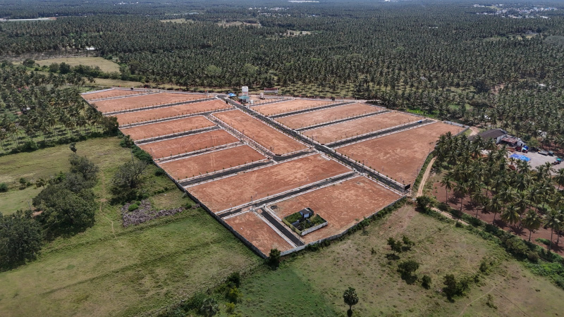Pollachi, Coimbatore