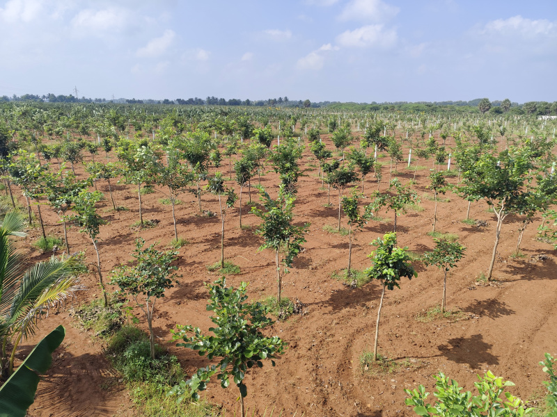 Additional image 3 of Madurantakam, Chennai