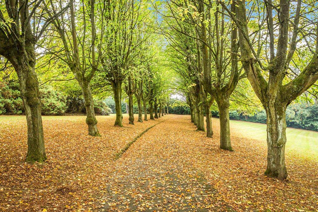 Additional image 9 of Farley Lane, Romsley, Halesowen, Worcestershire, B62