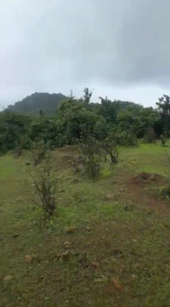 Additional image 3 of Maval, Pune