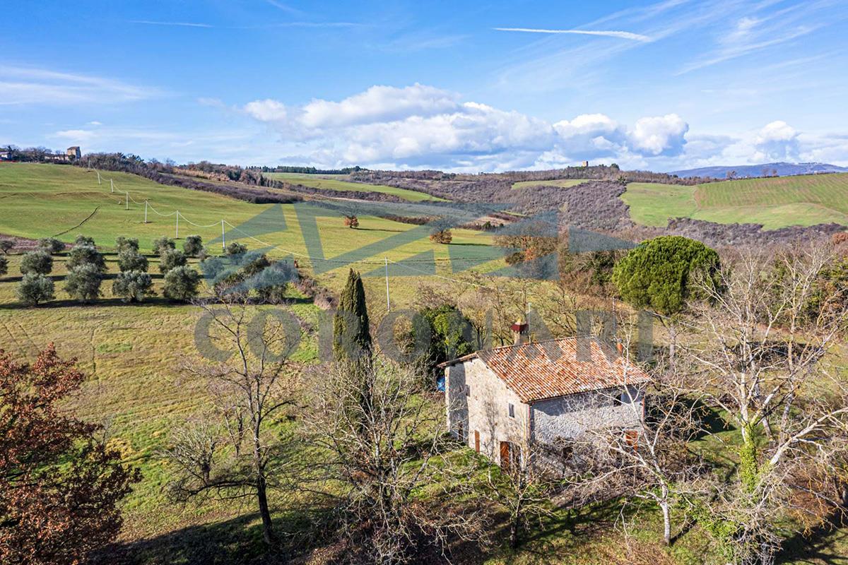 Todi (Perugia)