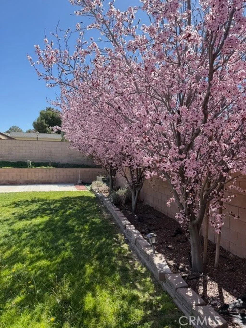 Additional image 17 of 36829 Desert Willow Dr, Palmdale, CA 93550
