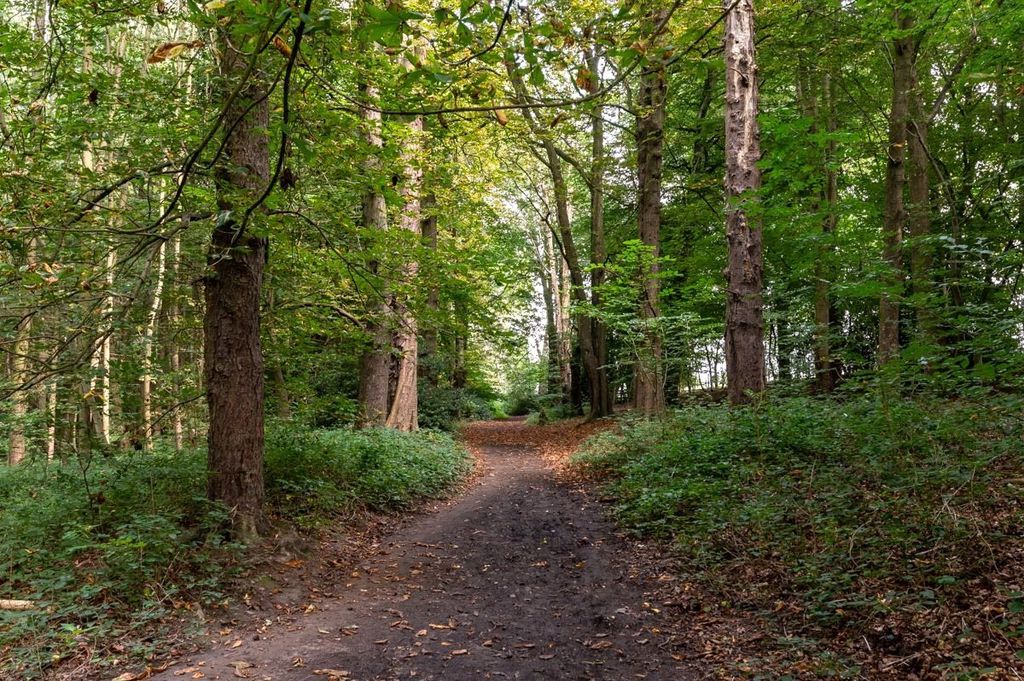 Additional image 55 of 8 bed detached house for saleThorner Lane, Scarcroft, Leeds LS14