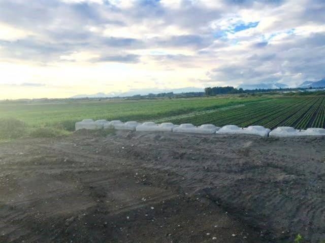 4179 176 Street, Surrey, BC, V3S 0L5