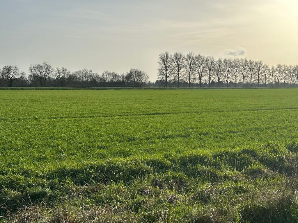 Additional image 4 of Land for saleMile Drove, Peakirk, Peterborough PE6