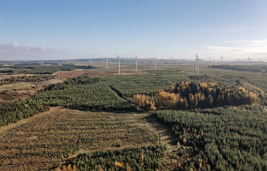 Land for saleDura Forest, Allanton, North Lanarkshire ML2