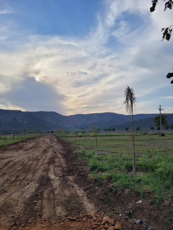 Siliserh, Alwar