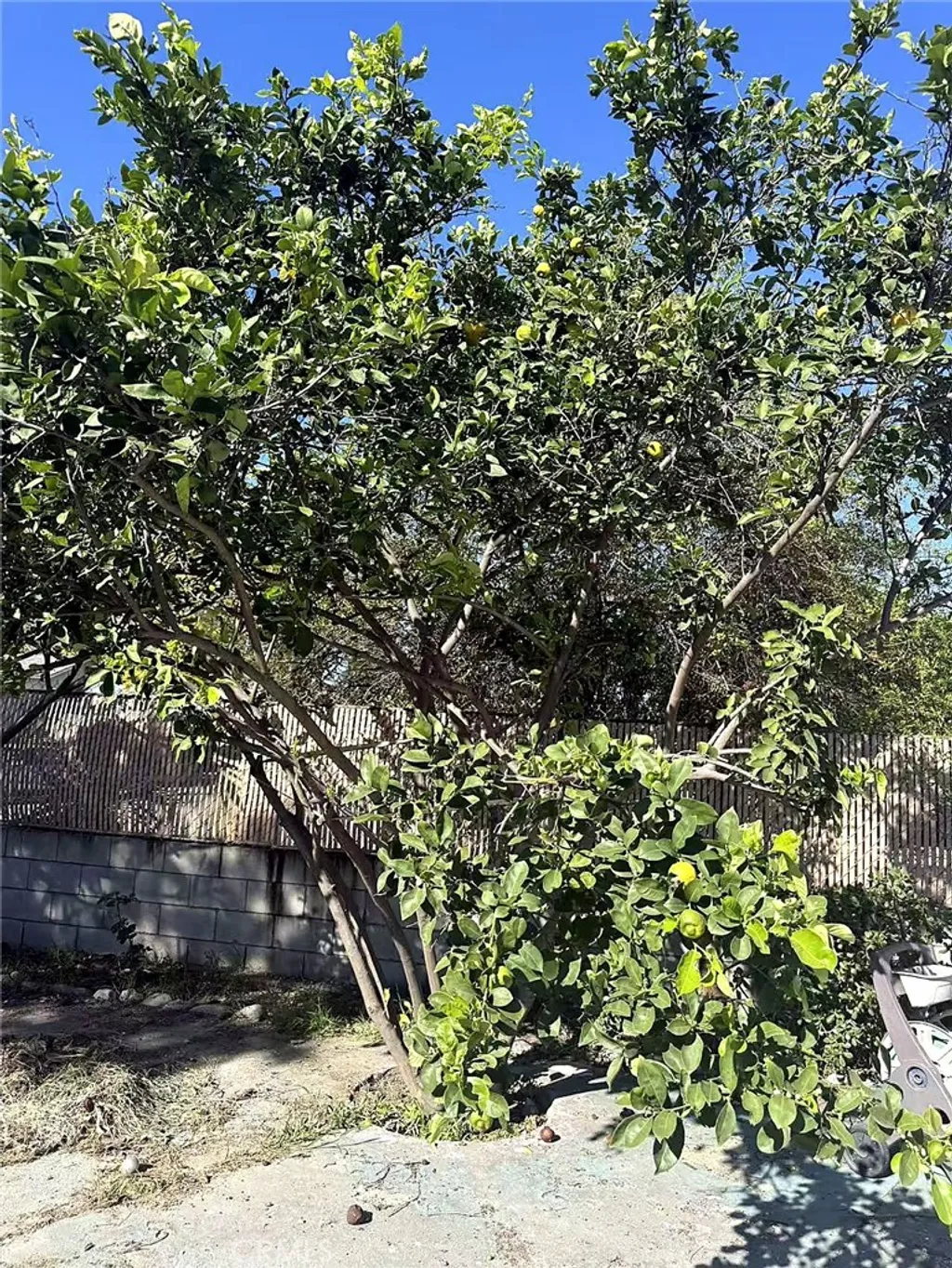 Additional image 11 of 8717 Tilmont Ave, Pico Rivera, CA 90660