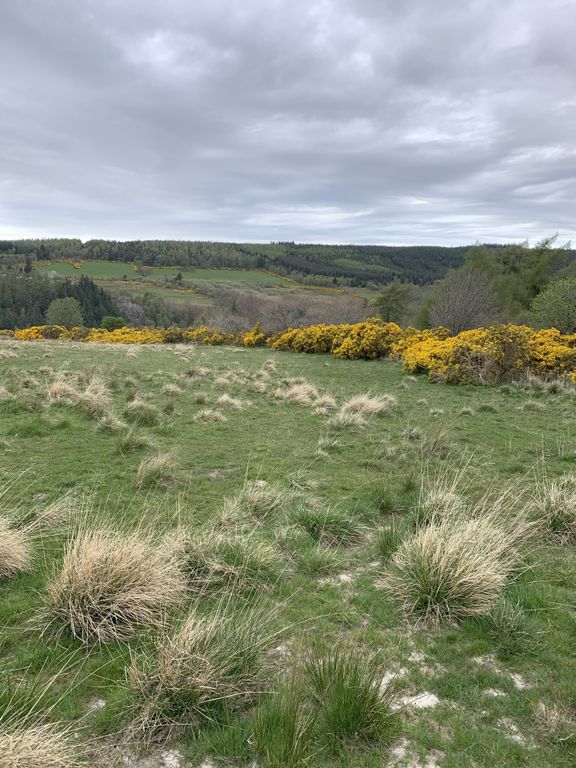 Land for saleDallas IV36 photo 3