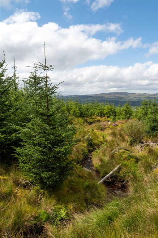 Additional image 3 of Land for saleSt. Catherines Forest, Cairndow, Cowal Peninsula, Argyll & Bute PA25