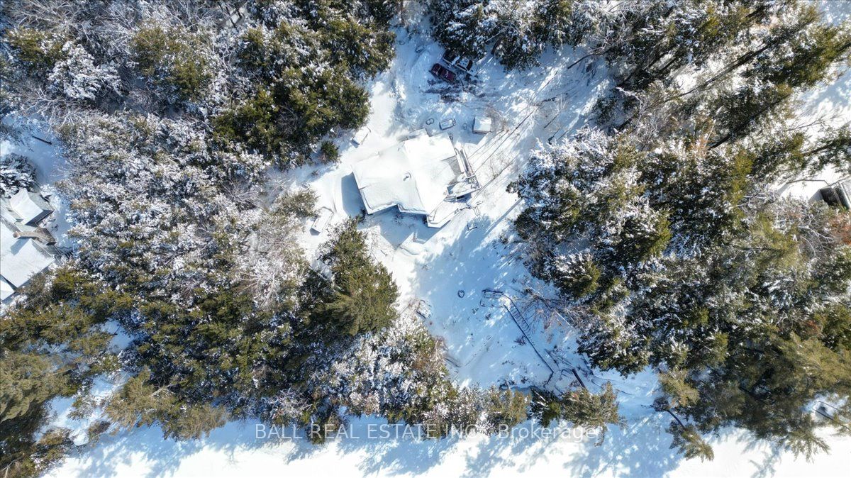 Additional image 4 of 98 Merganser Lane, North Kawartha, ON, K0L 1A0