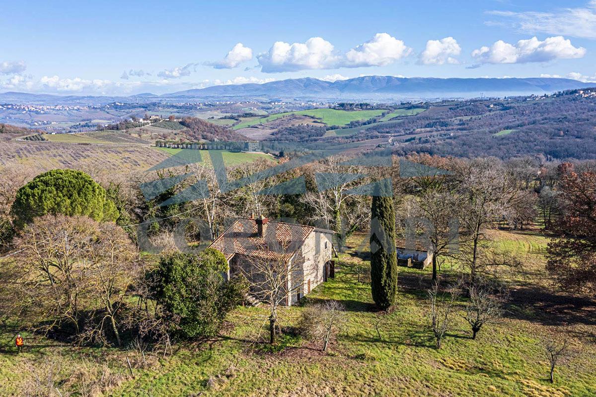 Additional image 3 of Todi (Perugia)
