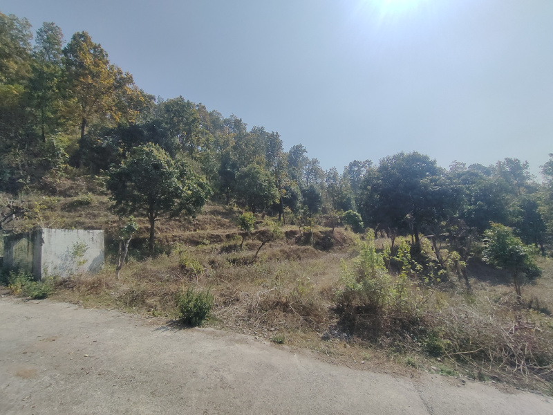 Additional image 3 of Ranipokhari, Dehradun