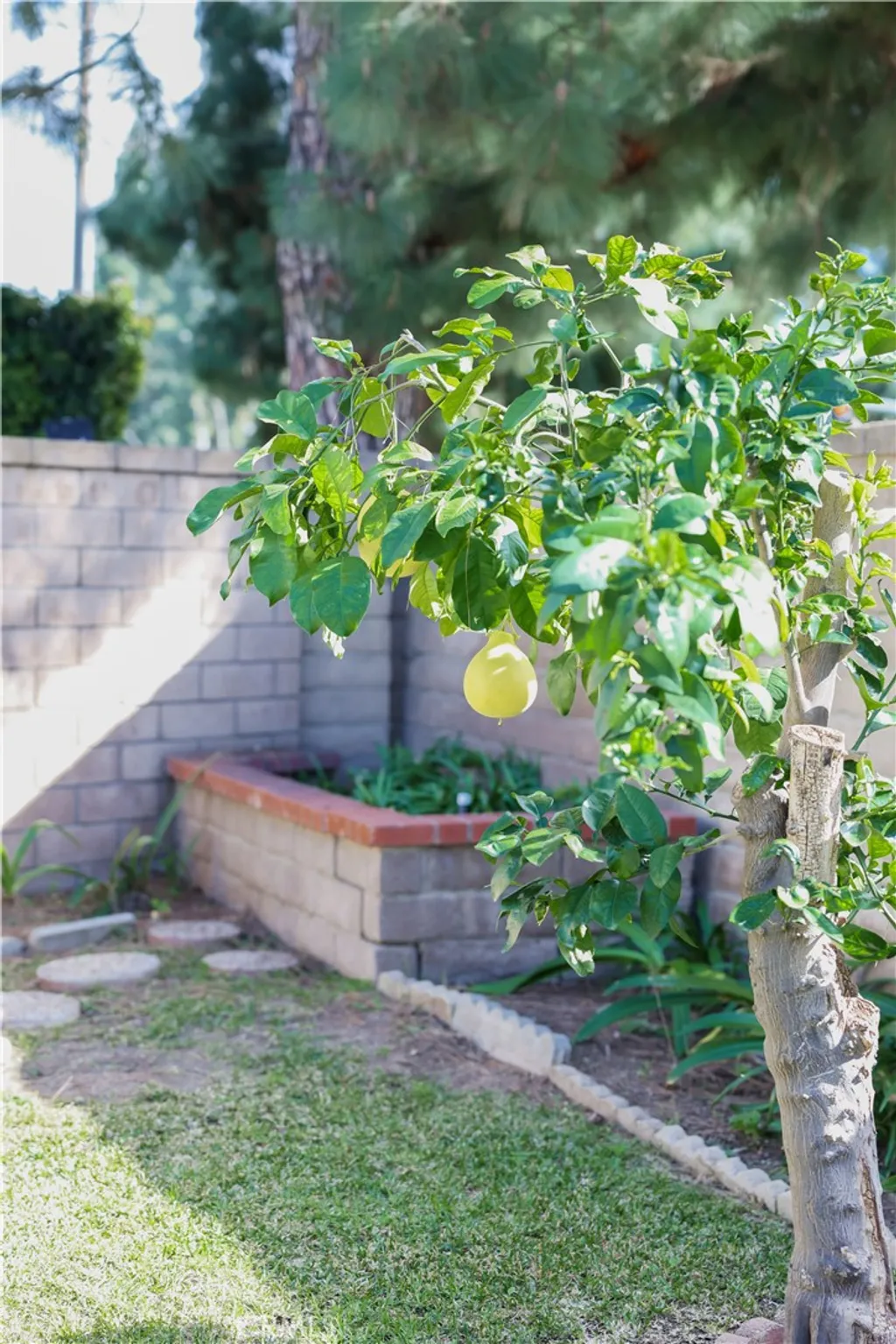 Additional image 28 of 183 S Starflower St, Brea, CA 92821