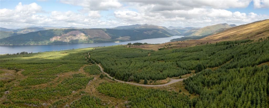 Additional image 2 of Land for saleSt. Catherines Forest, Cairndow, Cowal Peninsula, Argyll & Bute PA25