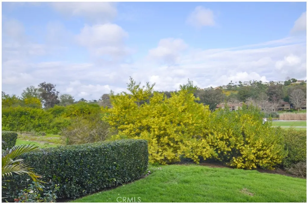 31402 W Nine Dr, Laguna Niguel, CA 92677