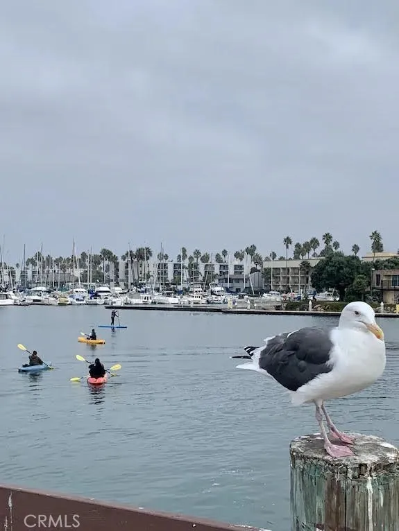 Additional image 117 of 116 W Channel Islands Boulevard, Oxnard, CA 93035