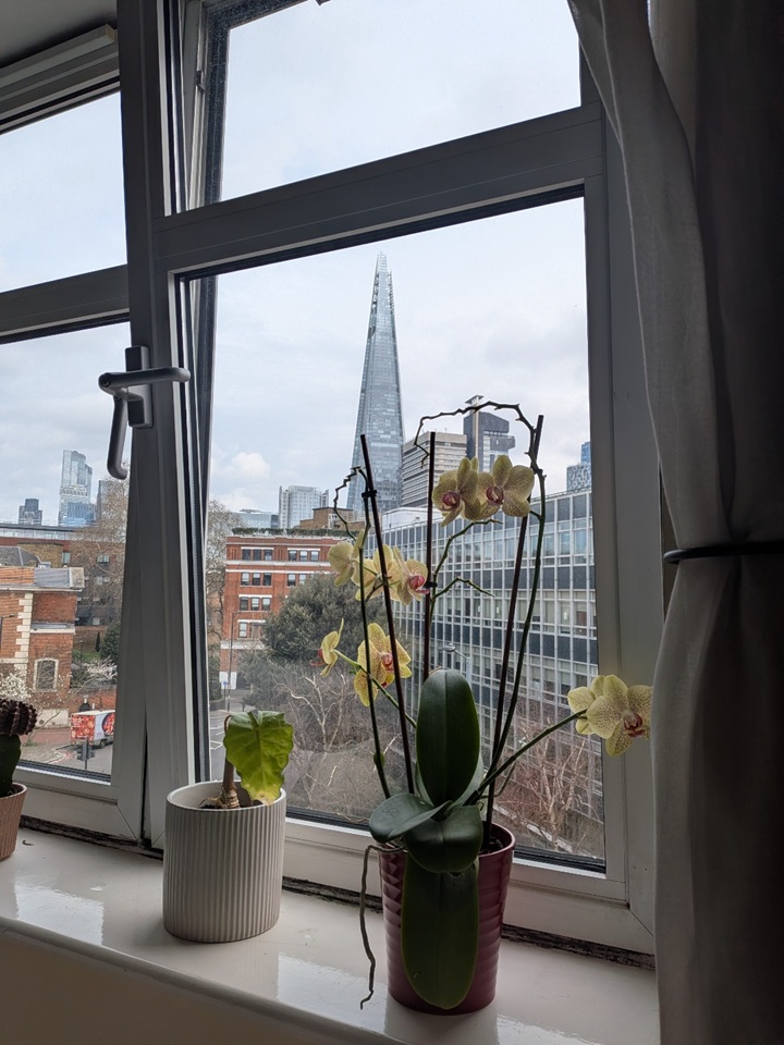 Additional image 2 of Room in a Shared Flat, London, SE1, N1 7GU