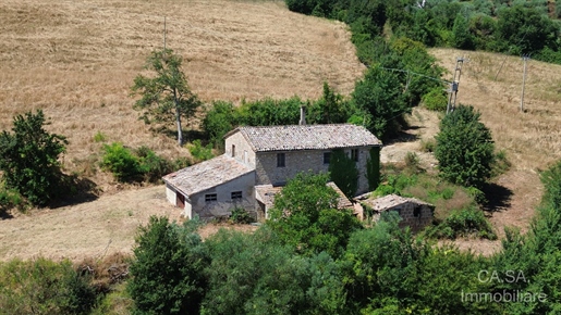 Additional image 10 of Todi (Perugia)