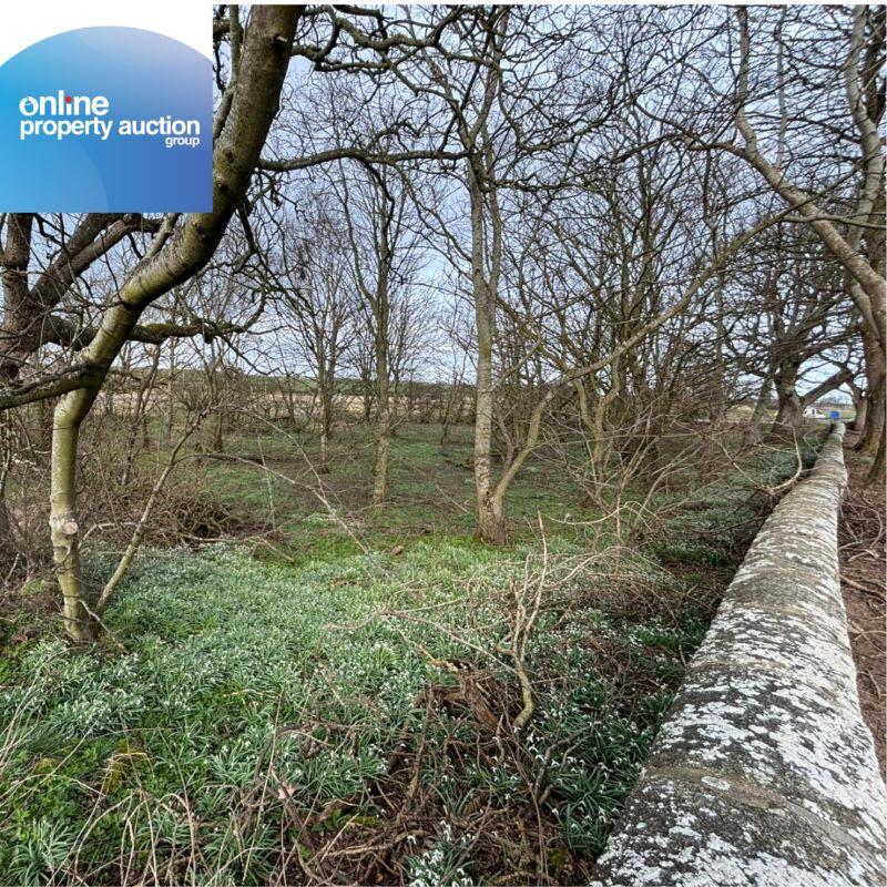 Tyrie Church Woodland, Fraserburgh, AB43 6SQ