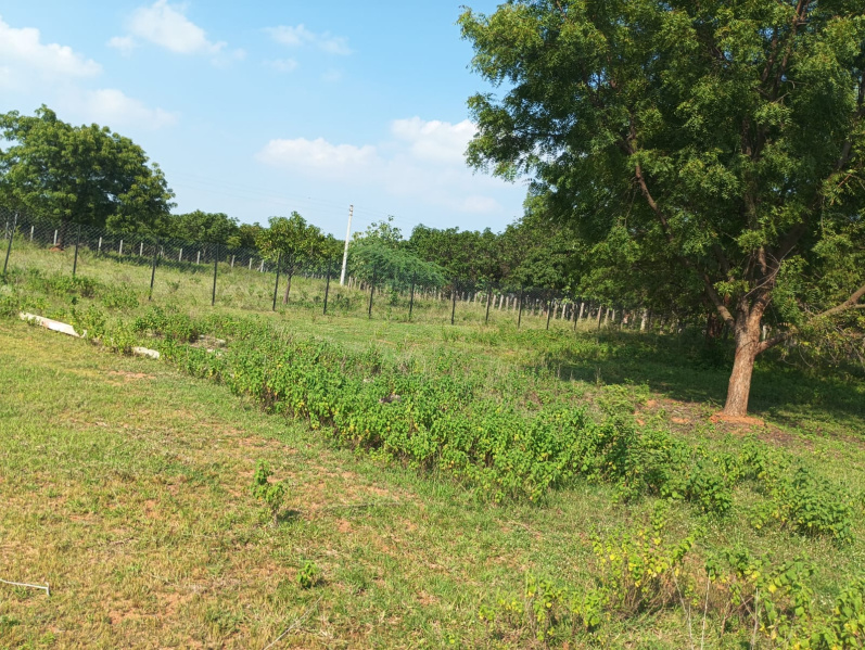 Additional image 2 of Shamirpet, Hyderabad