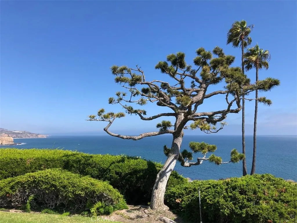 Additional image 75 of 32759 Seagate Drive Unit 201, Rancho Palos Verdes, CA 90275