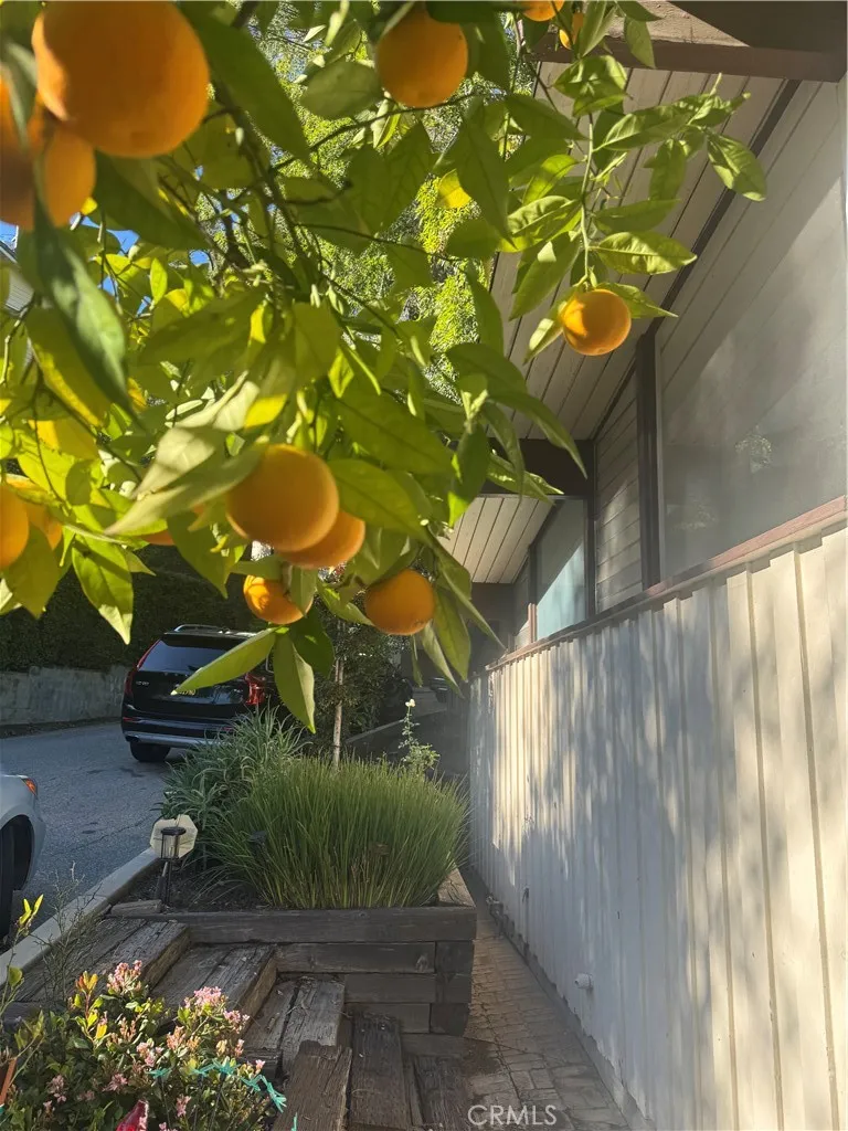 Additional image 89 of 11551 Decente Dr, Studio City, CA 91604