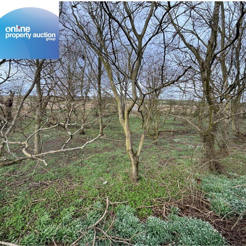 Additional image 13 of Tyrie Church Woodland, Fraserburgh, AB43 6SQ