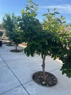 Additional image 17 of 2204 Park Rose Ave, Duarte, CA 91010